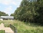 秋の花咲く湿性花園