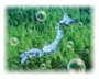 高湿度・高低差の日本