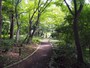 本多の森公園
