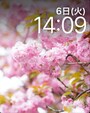壁紙の例