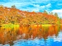 雲場池の紅葉