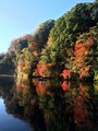 釣りをしながら紅葉狩り