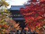 南禅寺の大きな山門と紅葉
