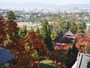 永観堂　「多宝塔」前から