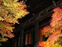 永観堂　紅葉ライトアップ