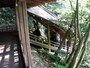 臥龍廊(がりゅうろう)