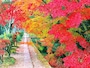 紅葉の哲学の道(京都市)