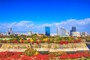 紅葉の大阪城