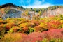 紅葉の屏風岩公苑