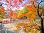香嵐渓待月橋の紅葉