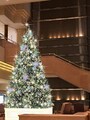 1階ロビーには約5mの煌びやかなクリスマスツリーが初登場（画像はイメージ、画像提供：ヨコハマ グランド インターコンチネンタル ホテル）