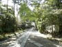 寿福寺の参道