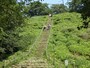 階段を登れば丸墓山古墳の頂上