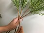 花材を交差させるように束ねていきます。