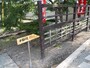 幸福の道＠香林寺