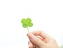 運気を循環させる「九星」とは？