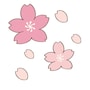 桜　花　イラスト　カラー　かわいい