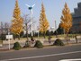 のんびりこの一帯を散歩したい気分だ