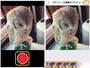 (左)赤い録画ボタンを押すと撮影開始。(右)使いたい部分をドラッグで指定してから［次へ］をタップ