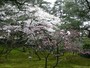 兼六園