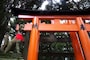 初午とは？お稲荷さんのキツネ