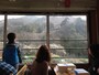 梅の花が見える沿線