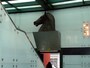 Museo