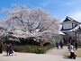 石川門＠金沢城公園