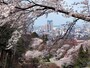 卯辰山公園