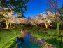 ライトアップ＠兼六園