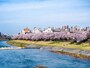 犀川河川敷