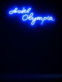 OLYMPIA LE-TAN 2016春夏パリコレクション
