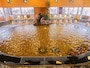 主役のような浴槽が温泉好きの琴線に触れる！ホテル三泉閣の展望大浴場