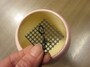 鉢底網を針金で固定