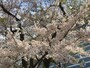 作例01