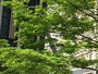 iPhone SEカメラ