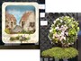 ハンギングバスケット部門出展作品