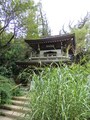 鐘楼門の脇に矢羽ススキが