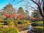 曲水＠兼六園