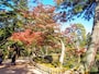 瓢池＠兼六園
