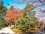 紅葉＠兼六園