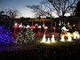 ズーラシアならではのクリスマスイルミネーション（画像提供：ズーラシア）