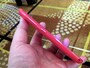 女性にも訴求できそうなラウンドフォルム
