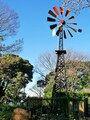 2nd SEASONで一番行ってみたい！と思うのは、風車が印象的な“密会場所”ではないでしょうか（2016年12月17日撮影）