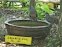水飲み場
