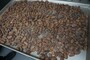 カカオ豆の状態を見て焙煎の時間を調整。コンベクションオーブンで焼き上げる。