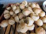 くずし割烹 隠れ房 御庭 抹茶シュークリーム