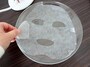 専用シートは、コットンの約2倍の水をキープ。水に浸すとゲル化し、ヘッドの滑りもよくなります。3枚付属で、別売(EH-2S42)は10枚入り2,000円(税抜)