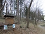トトロの森3号地