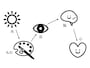 目の前に色があるのではなく、私たちは、人間の目が知覚する光（電磁波）を色として認識します。